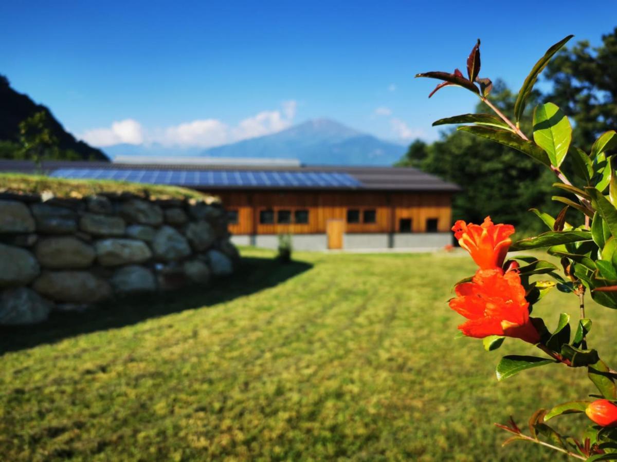 Agriturismo La Ca' D'Amelio Lessolo Exterior foto